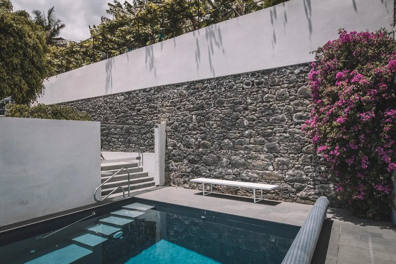 Torrinha Luxo Dream Wohnung Funchal  Portugal